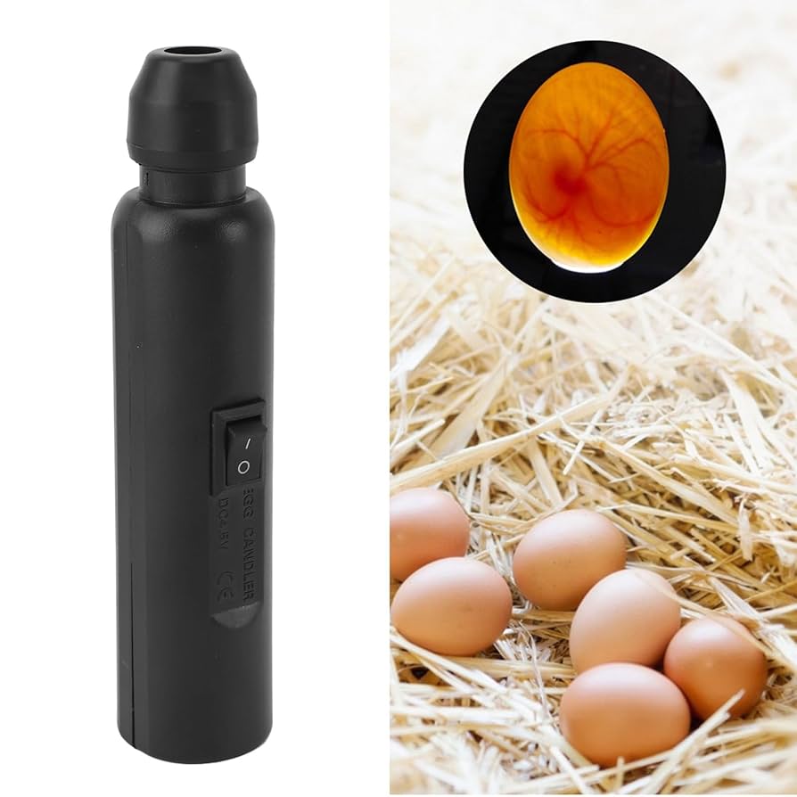 ECHD Egg Candler Tester H