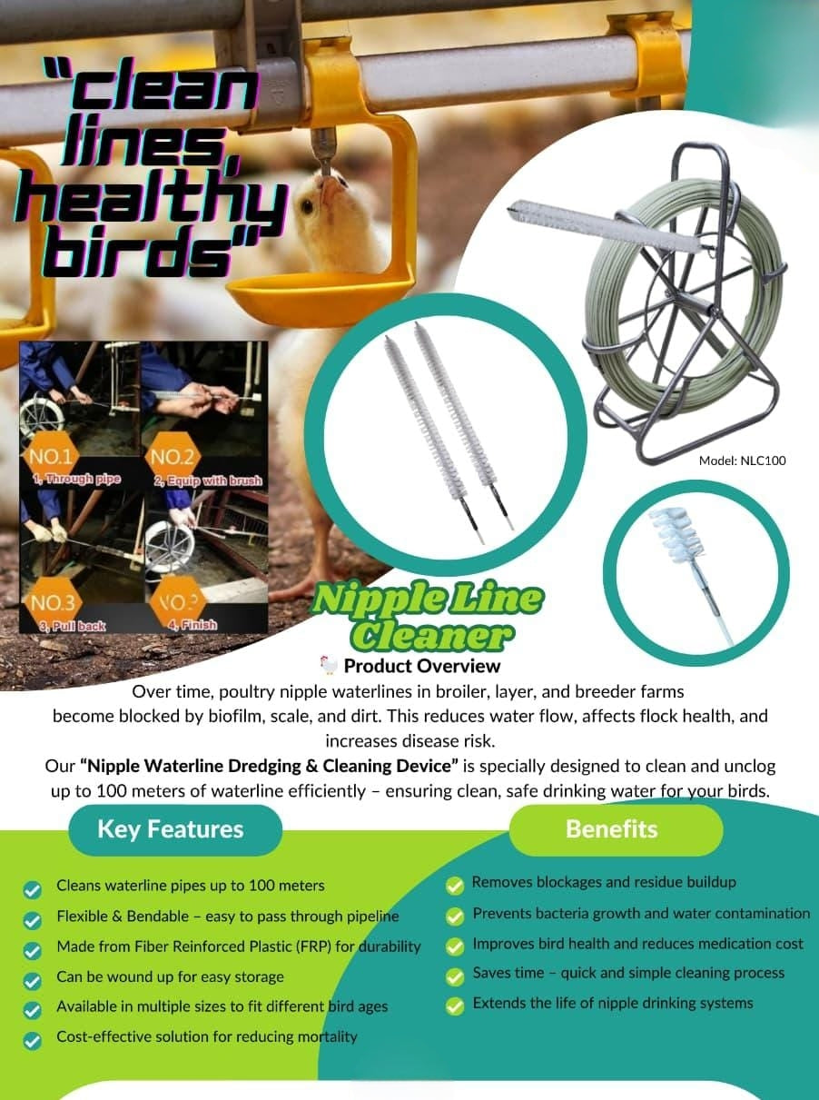Nipple Line Cleaner 100 Meter - Free Delivery