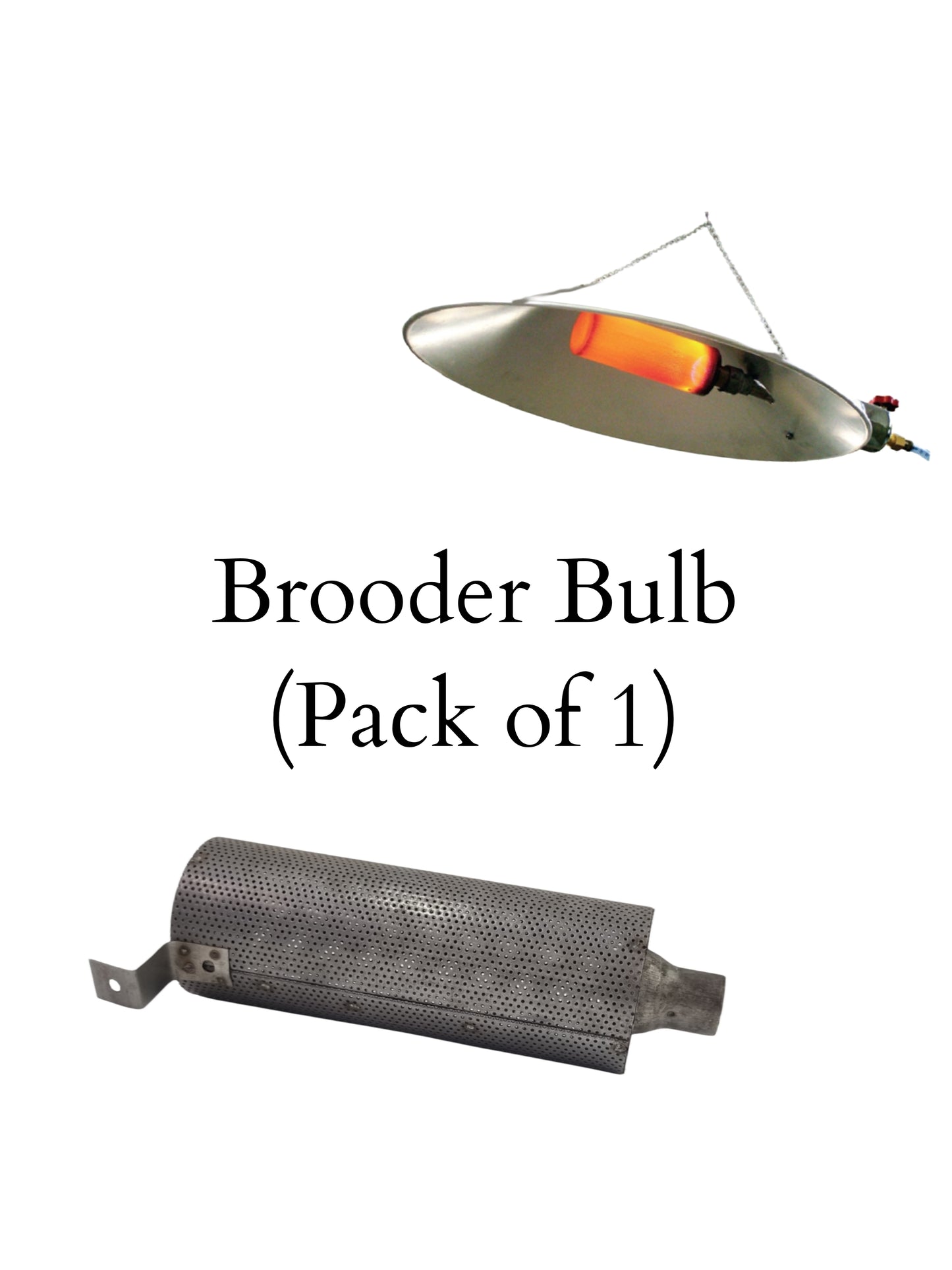 Chick Brooder Bulb (1000 Birds) -Free Delivery