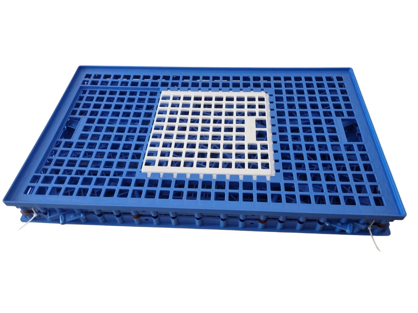 GKI Bird Transport Cage - Single Door-Free Delivery