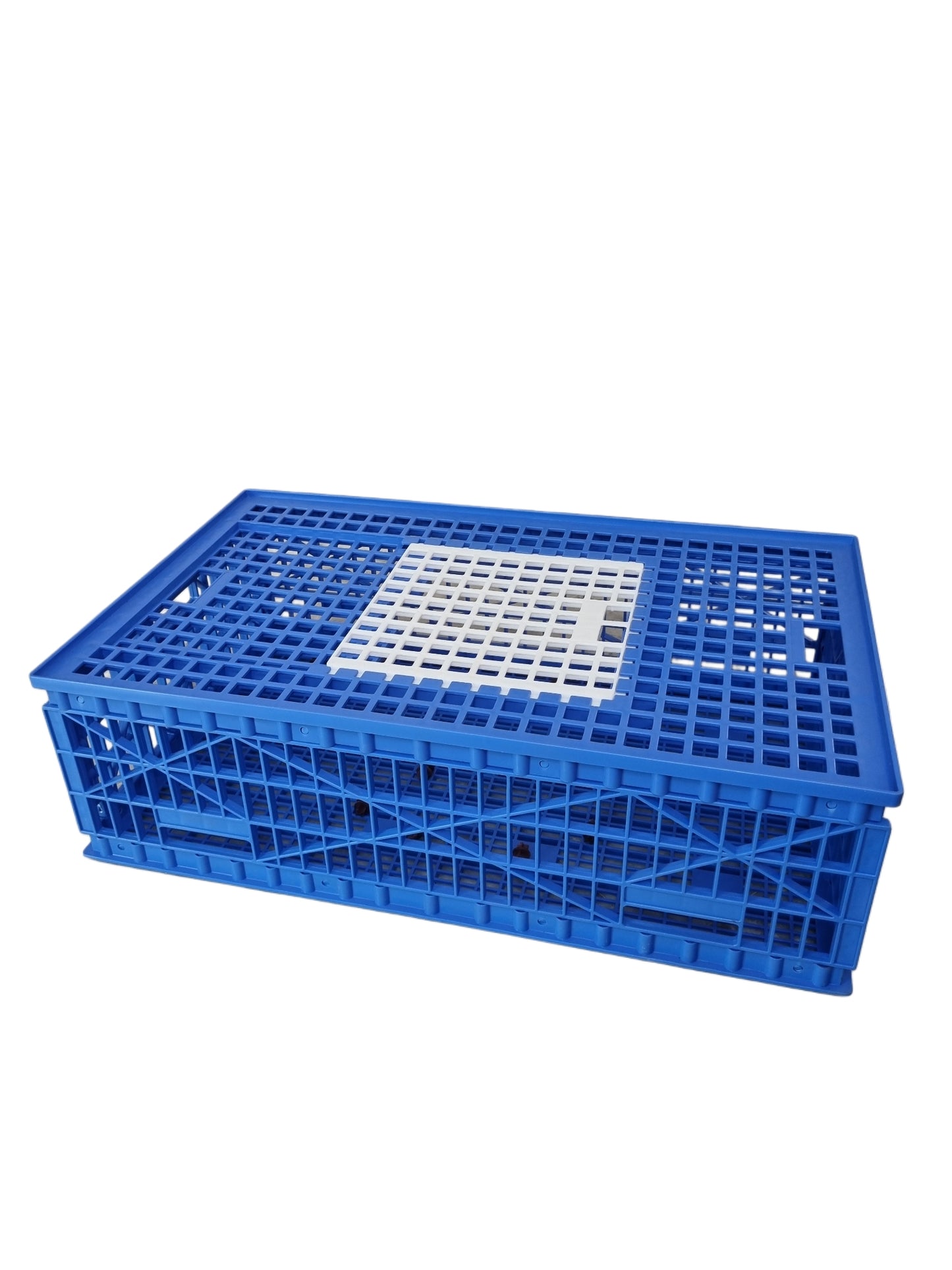 GKI Bird Transport Cage - Single Door-Free Delivery