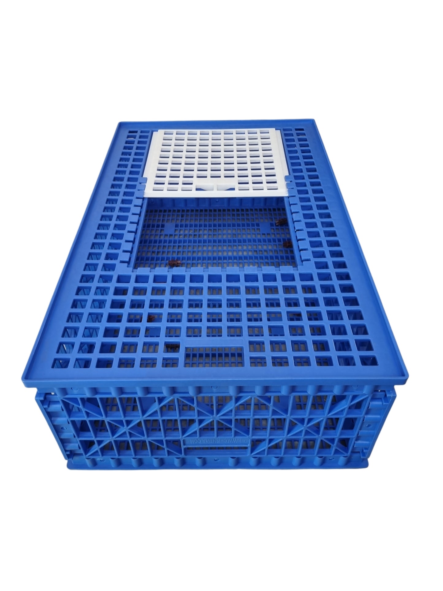 GKI Bird Transport Cage - Single Door-Free Delivery