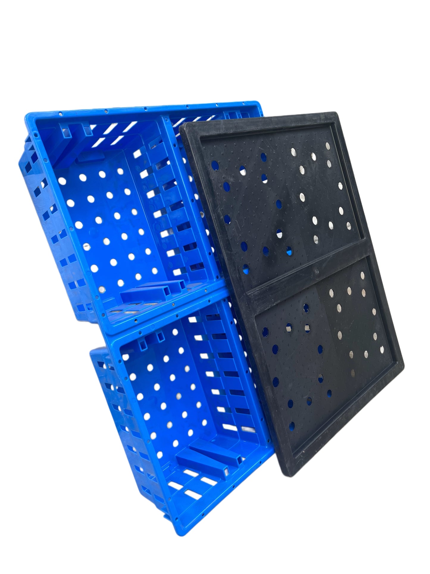 GKI Chick Transport Cage with Lid-Free Delivery