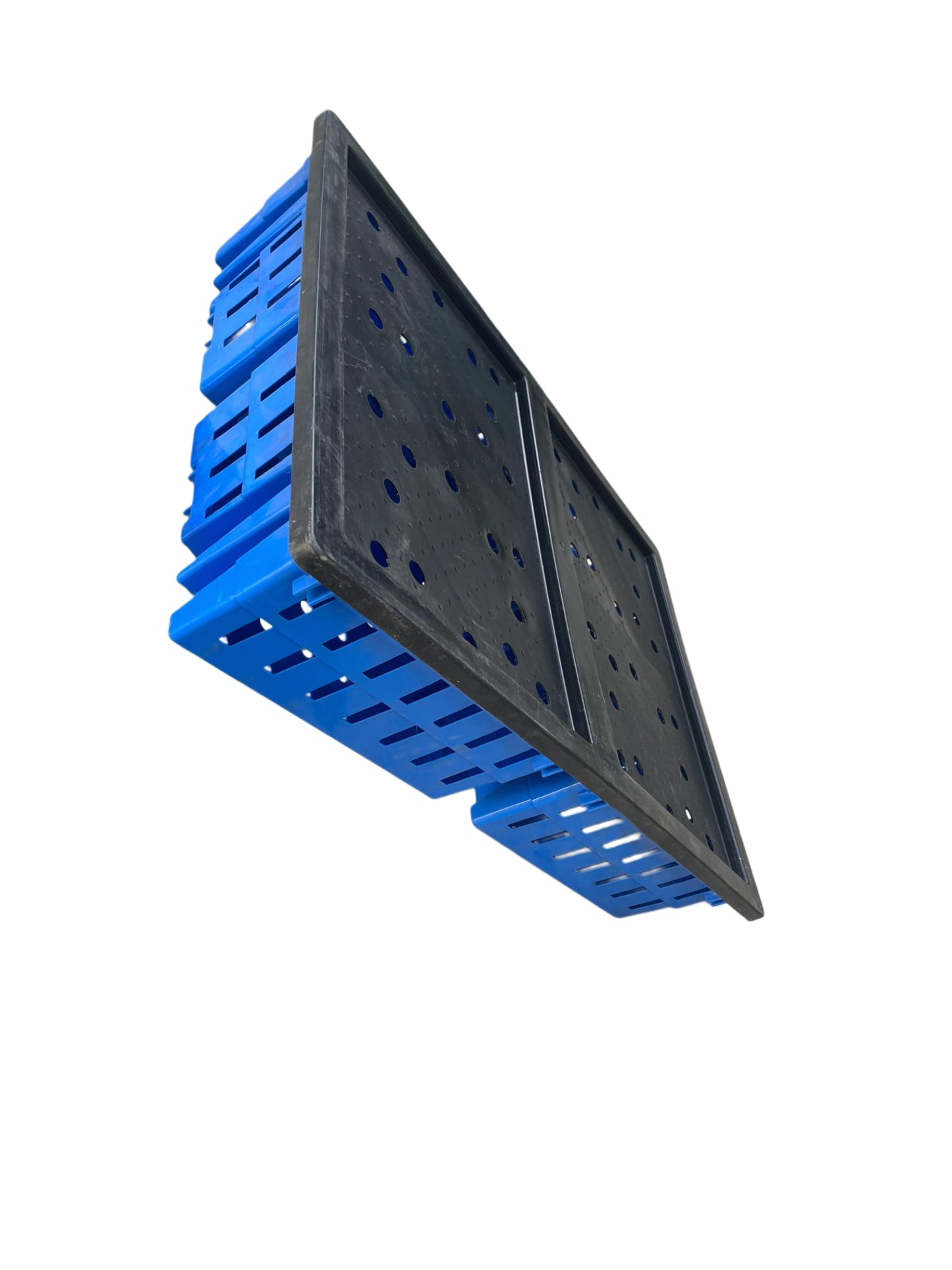 GKI Chick Transport Cage with Lid-Free Delivery