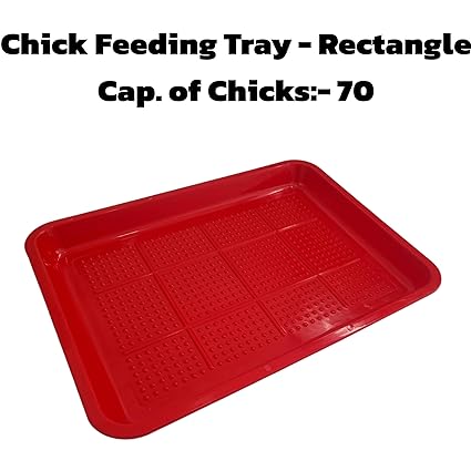 Rectangle Feeding Tray - 70 Chicks -Free Delivery