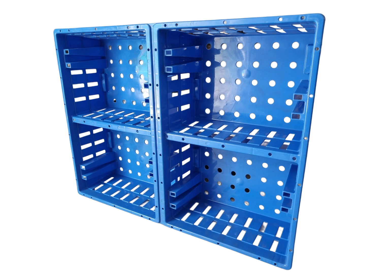 GKI Chick Transportation Cage-Free Delivery