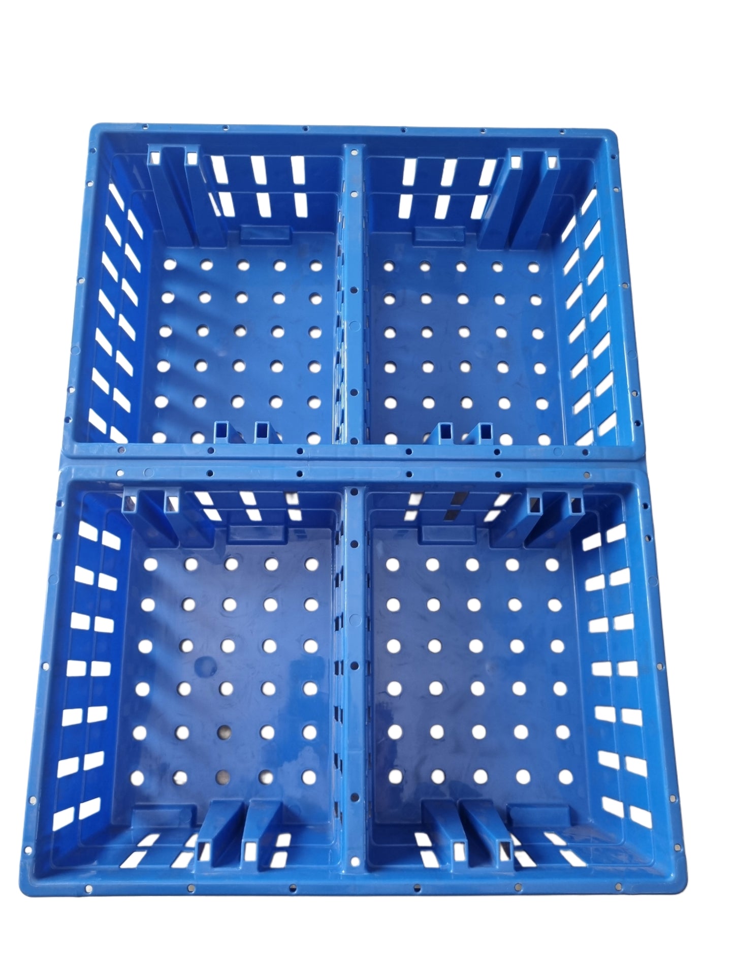 GKI Chick Transportation Cage-Free Delivery
