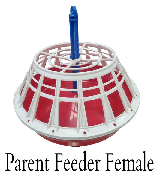 GKI Parent Feeder Female 2.25 kg-Free Delivery