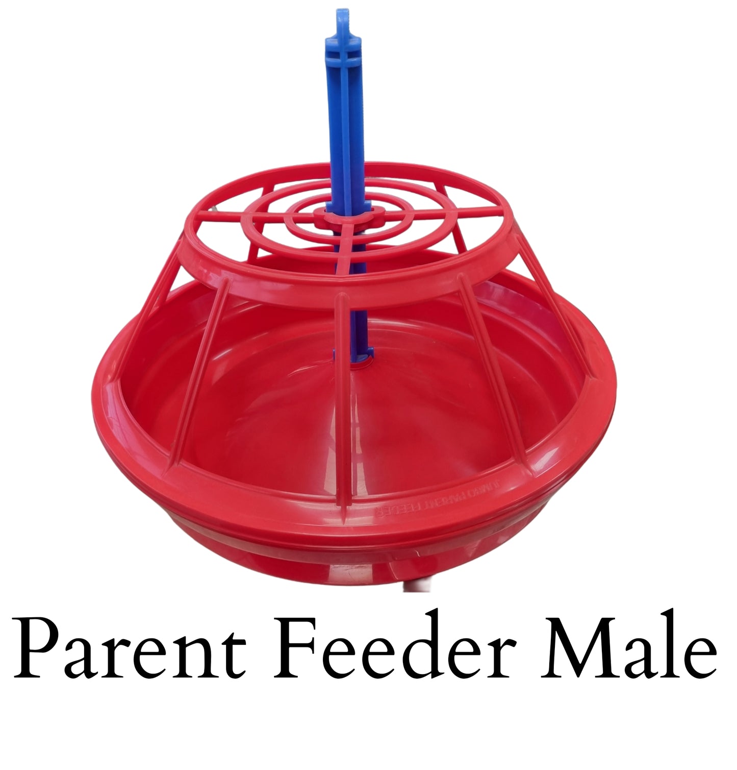 GKI Parent Feeder Male 2.25 Kg-Free Delivery