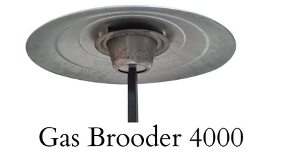 Gas Brooder 4000 Chicks Capacity -Free Delivery