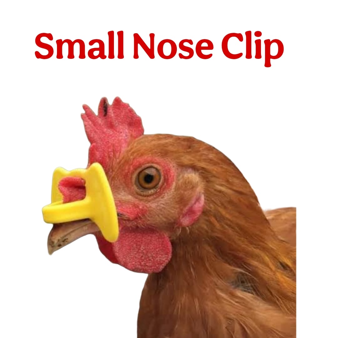 Small Nose Clip - Free Delivery