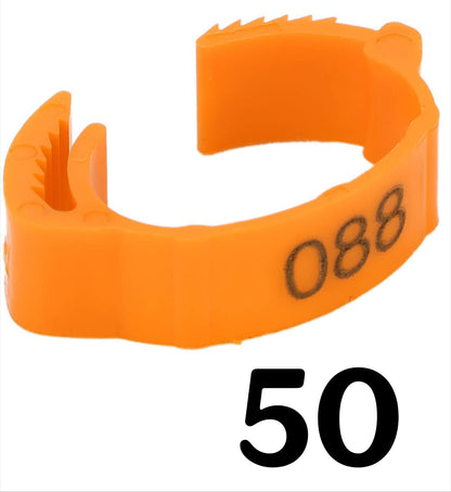 Chicken Leg Rings (Pack of 50)