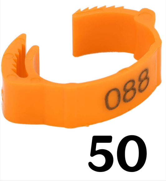 Chicken Leg Rings (Pack of 50)